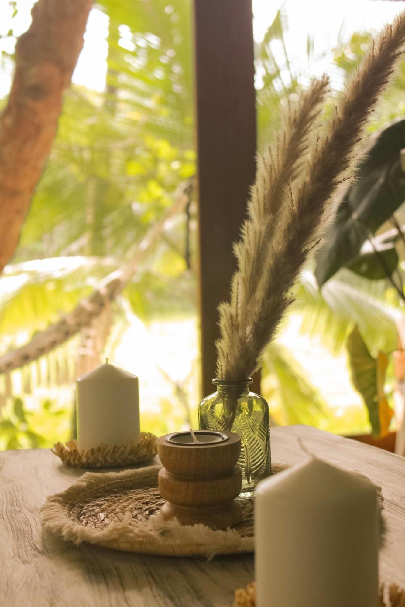The Jungle Loft Гале Екстериор снимка